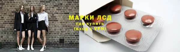 индика Горняк