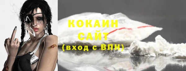индика Горняк