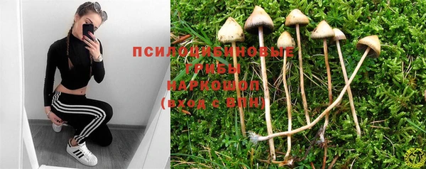индика Горняк