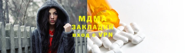 индика Горняк