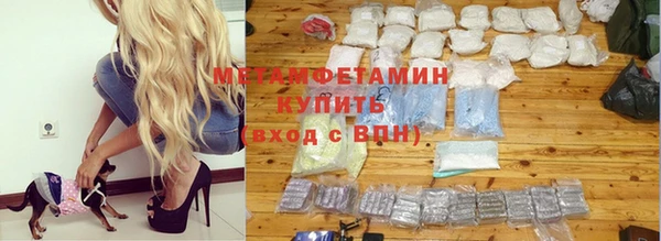 индика Горняк