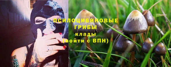 индика Горняк