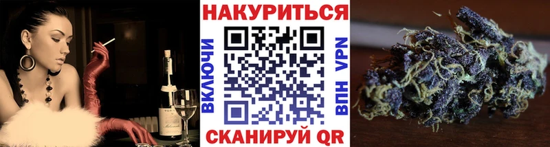 shop какой сайт Петушки Шишки марихуана ГИДРОПОН KRAKEN как зайти